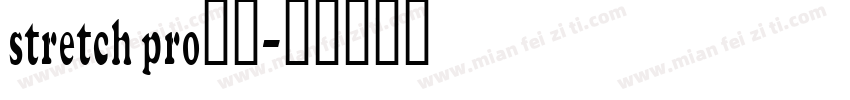 stretch pro下载字体转换